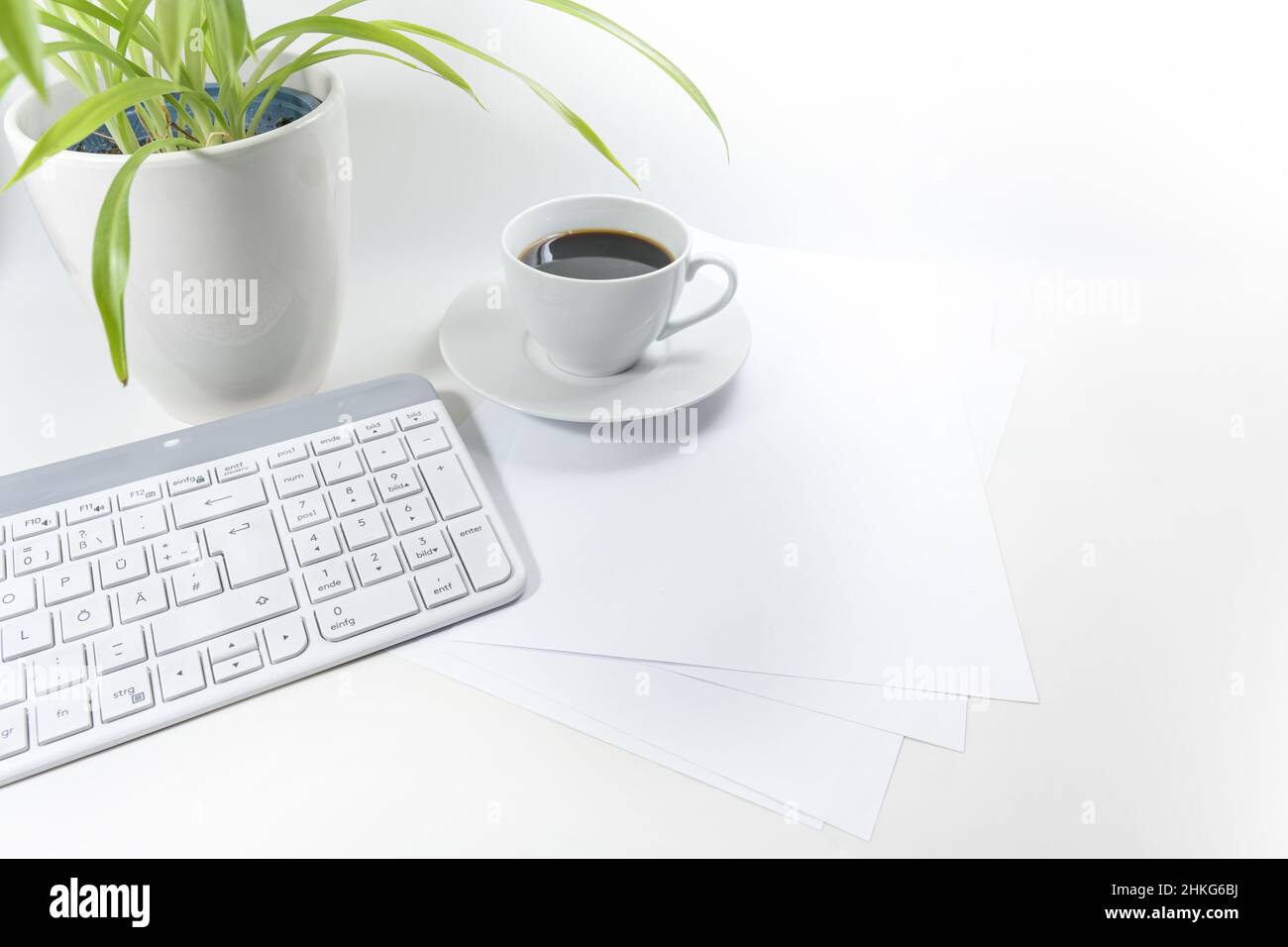 Tastiera per computer, tazza da caffè, carta bianca e una pianta verde su un desktop grigio bianco, concetto di ufficio, spazio di copia, fuoco selezionato, profondità di fiel stretta Foto Stock