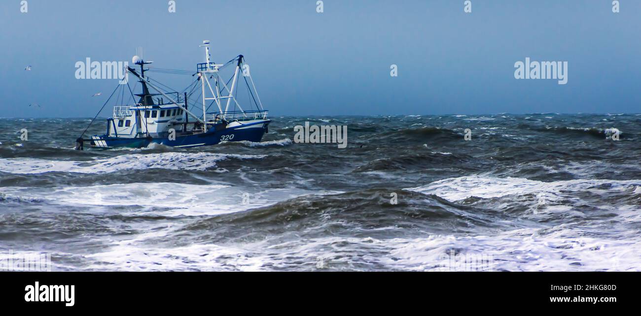 Ein Fischkutter in rauher vedere auf dem Weg in den Schutz bietenden Heimathafen Hvide Sande Foto Stock