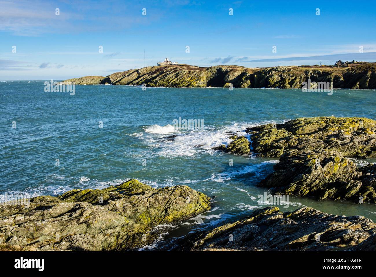 Vista su Porth Eilian fino a Point Lynas e faro. Llaneilian, Amlwch, Isola di Anglesey, Galles del Nord, Regno Unito, Regno Unito Foto Stock