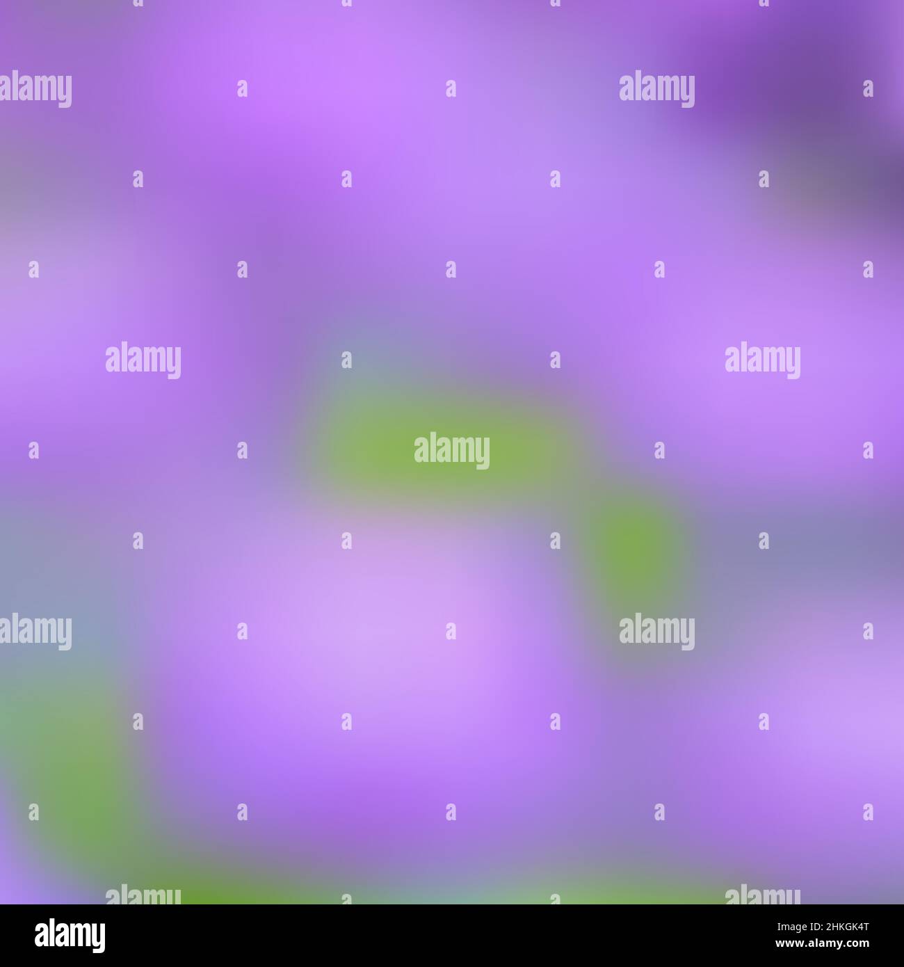 Sfondo viola astratto sfocato. Illustrazione vettoriale. Sfondo mesh sfumato chiaro e sfocato Illustrazione Vettoriale