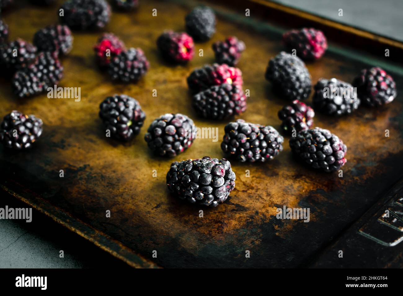 Bacche nere surgelate su una teglia: Vista closeup della frutta a bacche surgelata su una teglia da forno in metallo Foto Stock