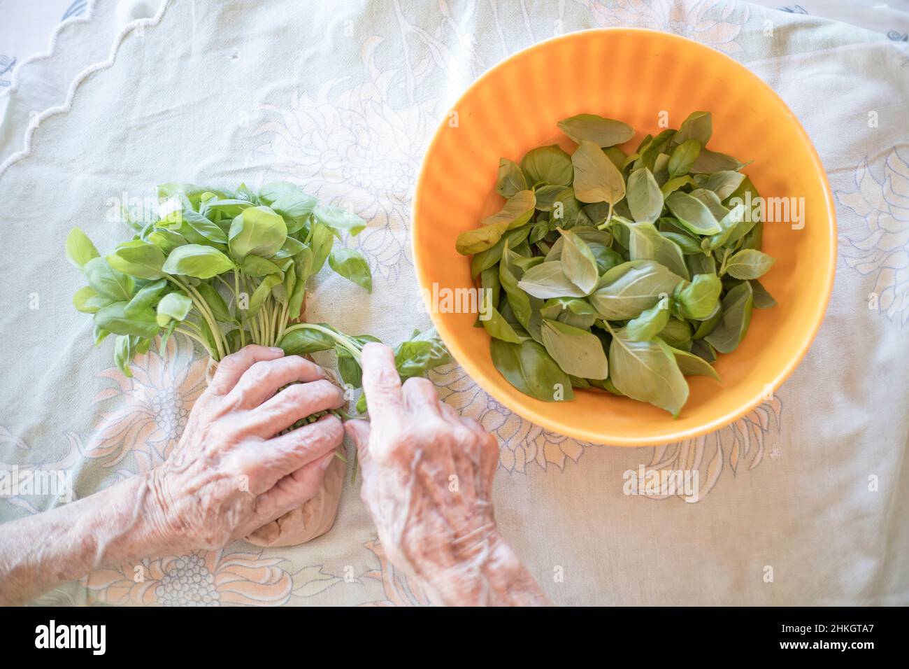 Preparazione del pesto Foto Stock