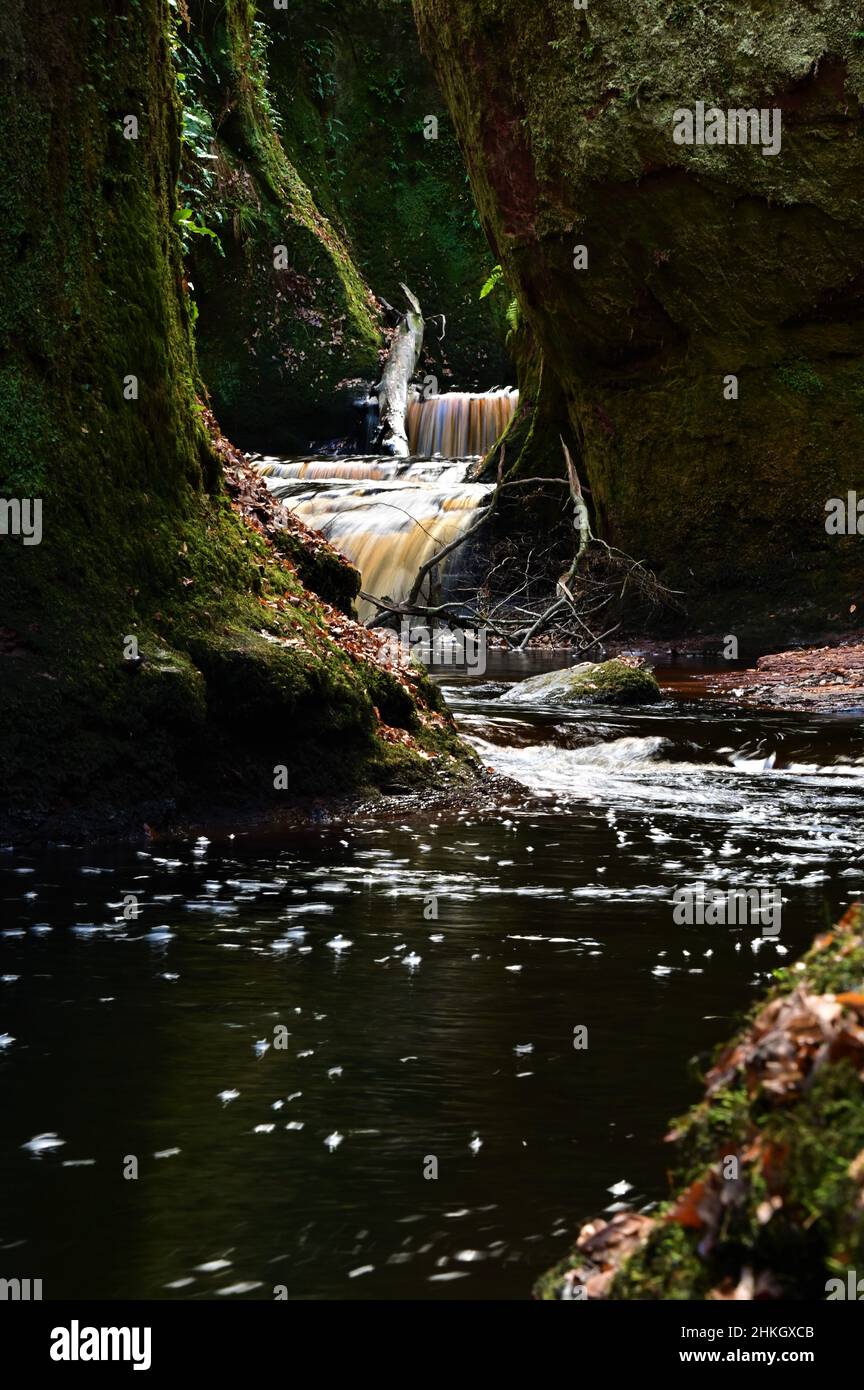 Una vista della Carnock Burn mentre scorre attraverso il canyon di Finnich Glen nella Scozia centrale. Foto Stock