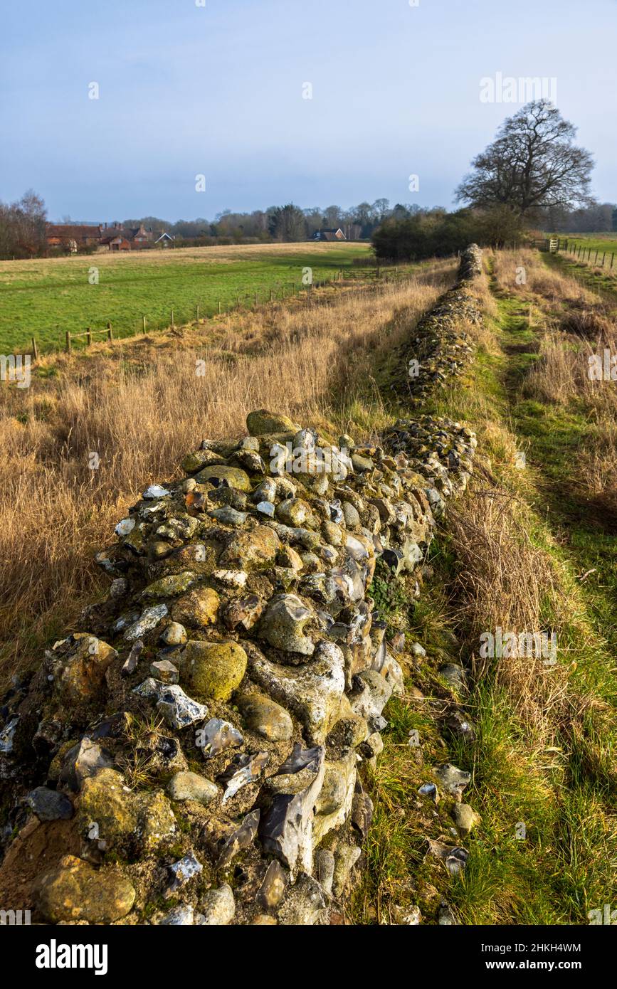 Lungo la rovinata parete difensiva di Venta Icenorum, il sito della capitale romana di Norfolk, Inghilterra Foto Stock