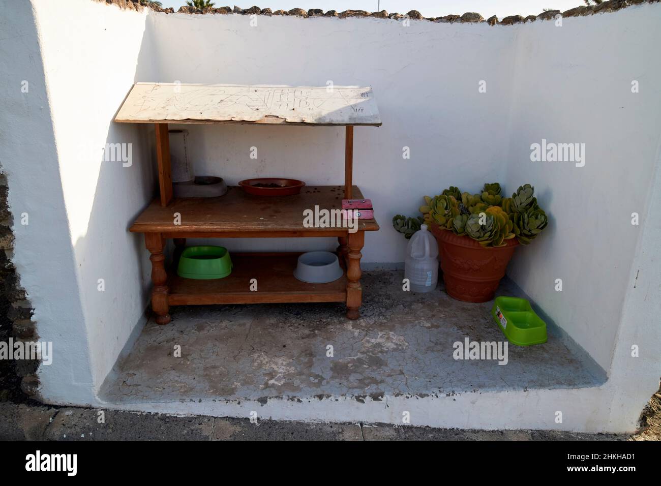 Cibo e acqua lasciati fuori per gatti randagi a Lanzarote Isole Canarie Spagna Foto Stock