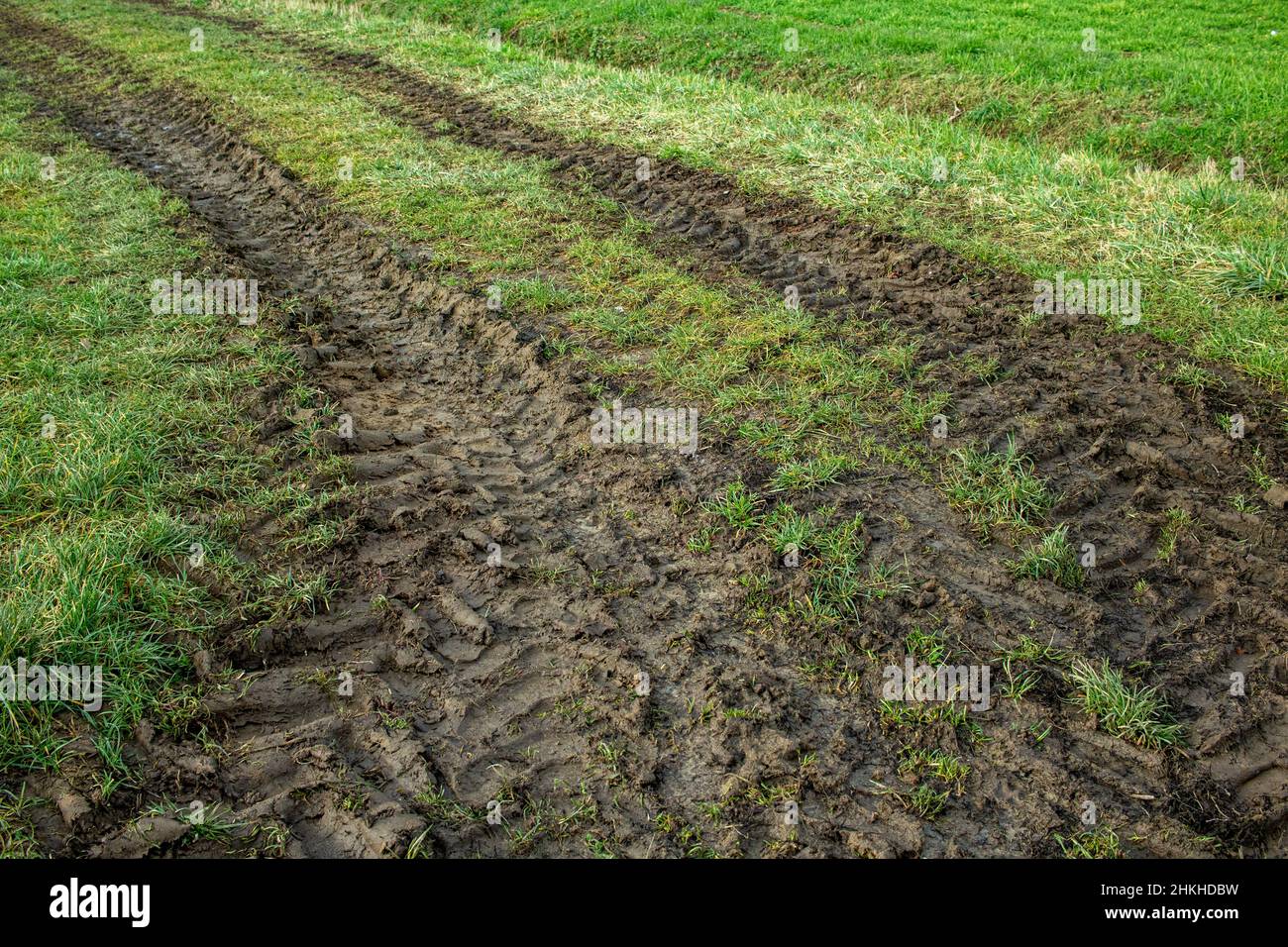 I veicoli agricoli con ruote grandi lasciano tracce profonde sugli pneumatici su un prato dopo che la pioggia ha ammorbidito la superficie del terreno Foto Stock