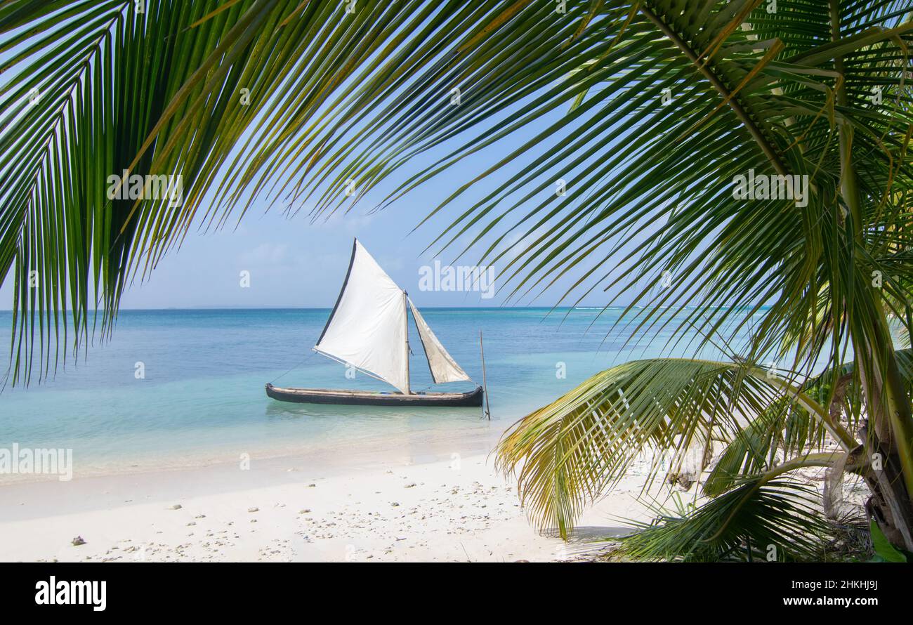 Spiaggia di palme intatta con barca a vela tradizionale all'isola di Chichime (San Blas) Foto Stock