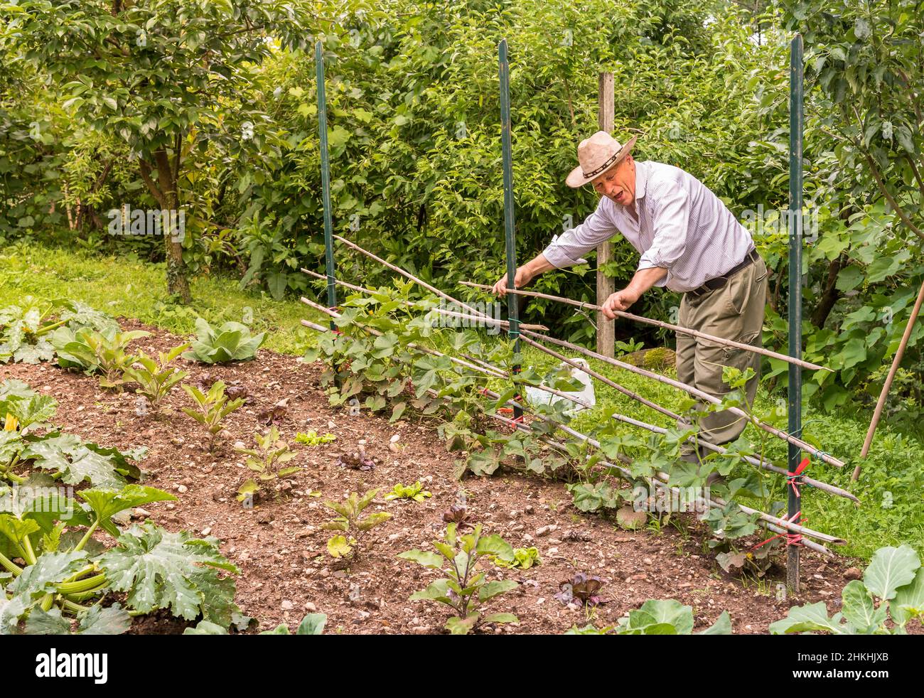 Uomo anziano che lavora nell'orto. Giardino di primavera concetto. Foto Stock