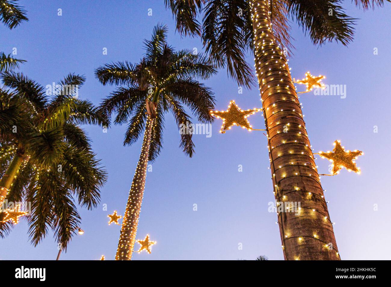 Miami Beach Florida, City Hall, edificio, palme sera, luci di Natale, vacanze invernali stagione decorazioni stelle Foto Stock