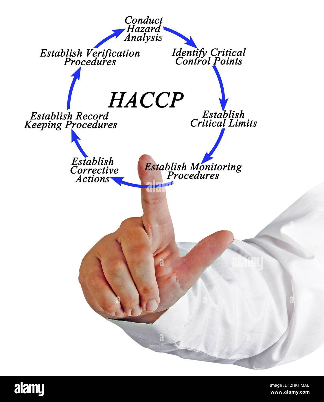 Sette fasi del ciclo di implementazione HACCP Foto Stock