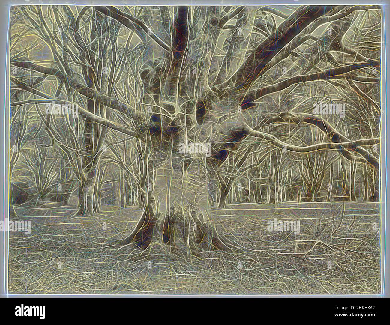 Ispirato da Tree study, Gran Bretagna, 1855 - 1900, carta, stampa albume, Altezza 265 mm x larghezza 345 mm, reinventata da Artotop. L'arte classica reinventata con un tocco moderno. Design di calda e allegra luminosità e di raggi di luce. La fotografia si ispira al surrealismo e al futurismo, abbracciando l'energia dinamica della tecnologia moderna, del movimento, della velocità e rivoluzionando la cultura Foto Stock