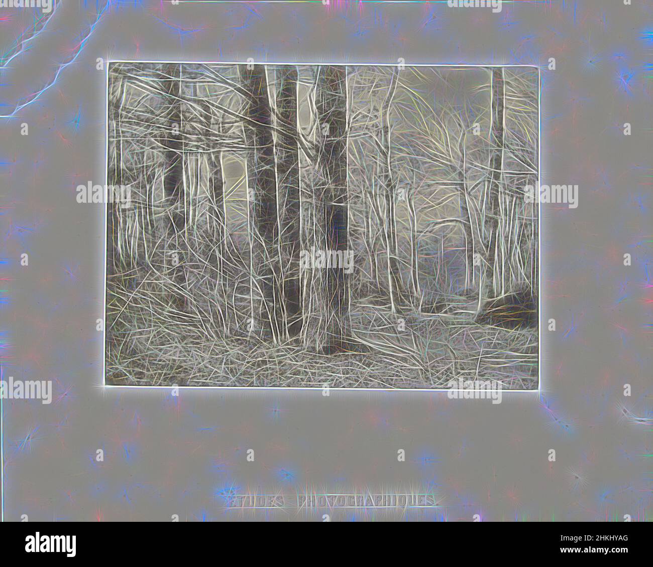 Ispirato da BoomstudieÉtudes Photographiques, Charles Marville, stampante: Louis-Désiré Blanquart-Evrard, Lille, 1853, Carta, stampa su carta salata, altezza 159 mm x larghezza 213 mm altezza 265 mm x larghezza 320 mm, reinventata da Artotop. L'arte classica reinventata con un tocco moderno. Design di calda e allegra luminosità e di raggi di luce. La fotografia si ispira al surrealismo e al futurismo, abbracciando l'energia dinamica della tecnologia moderna, del movimento, della velocità e rivoluzionando la cultura Foto Stock