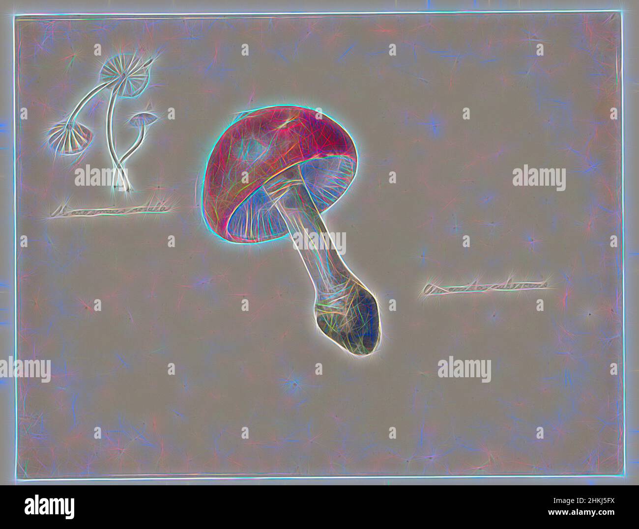 Ispirato da un foglio di studio con funghi, l'Amanita rubescens e la Marasmius Rotula, disegnatore: Albertus Steenbergen, 1824 - 1900, carta, matita, Spazzola, altezza 180 mm x larghezza 235 mm, reinventata da Artotop. L'arte classica reinventata con un tocco moderno. Design di calda e allegra luminosità e di raggi di luce. La fotografia si ispira al surrealismo e al futurismo, abbracciando l'energia dinamica della tecnologia moderna, del movimento, della velocità e rivoluzionando la cultura Foto Stock