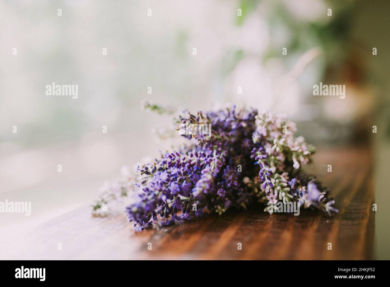 Lavanda viola e rosa a fuoco con sfondo sfocato su legno Foto Stock