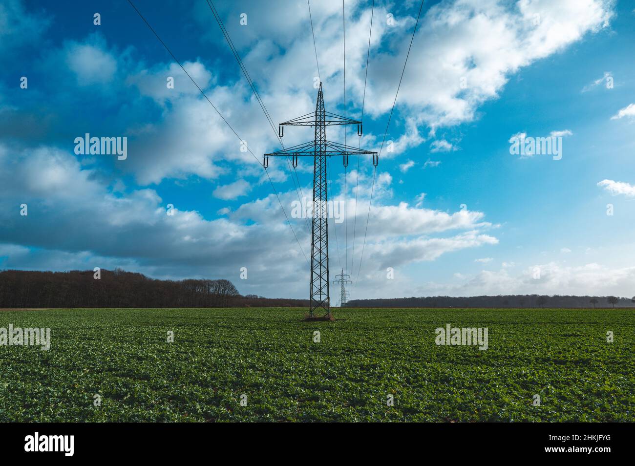 Linea ad alta corrente su un campo al sole Foto Stock