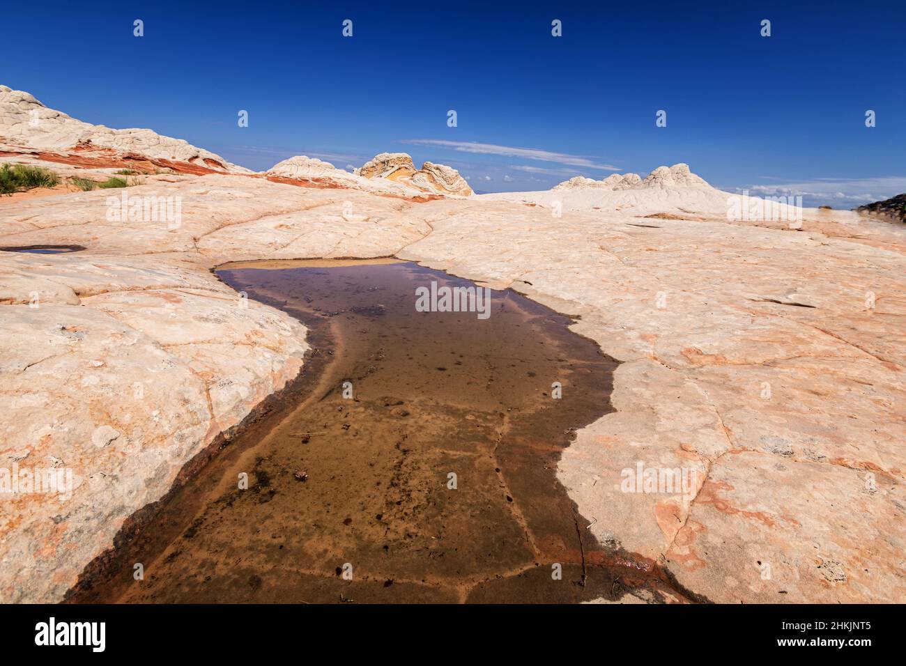 Formazione rocciosa a White Pocket, Utah Foto Stock