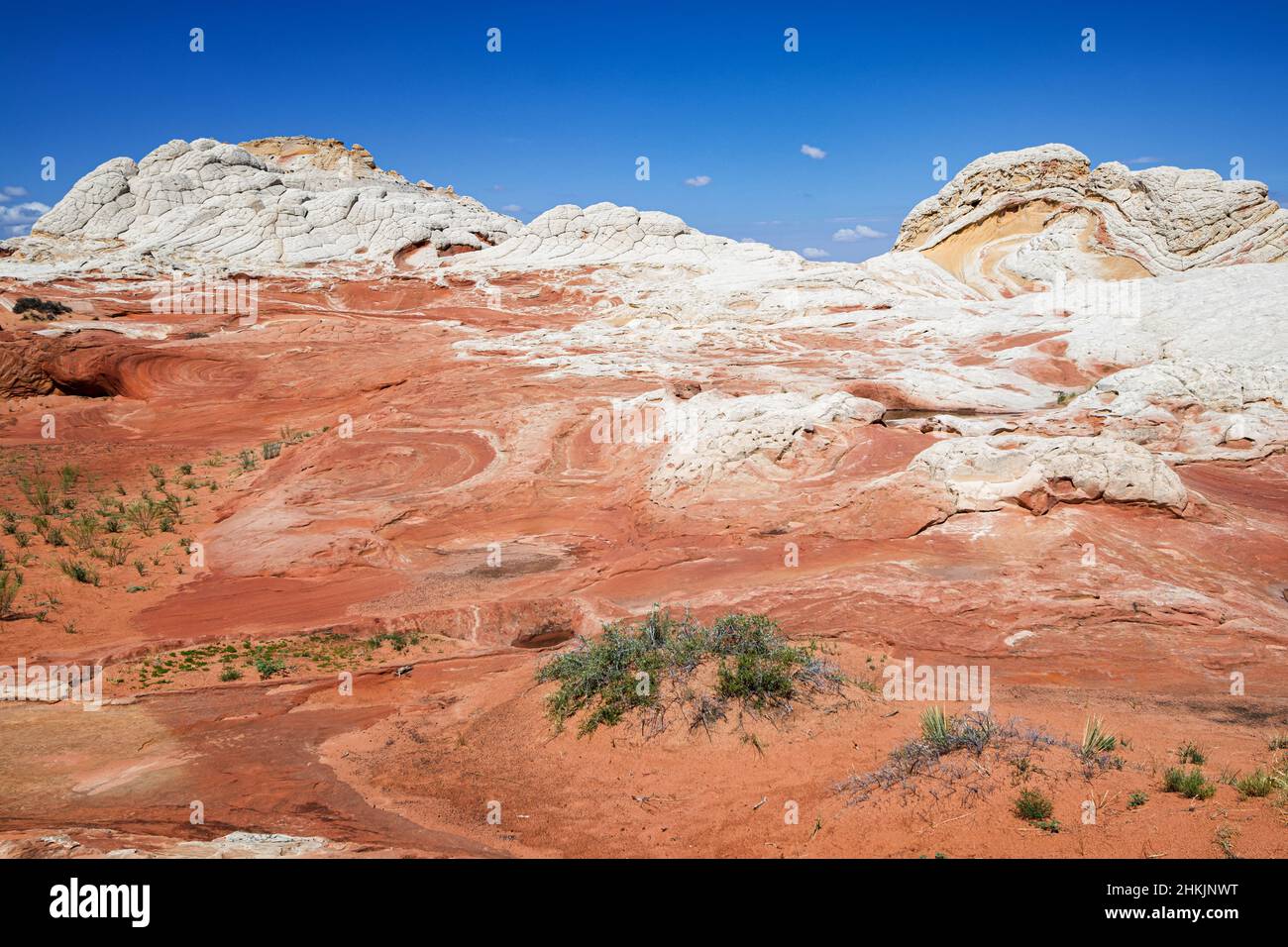 Formazione rocciosa a White Pocket, Utah Foto Stock