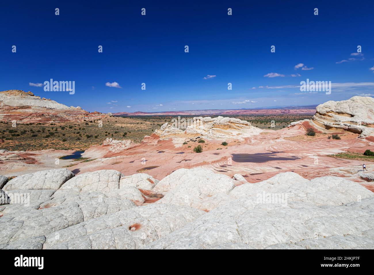 Formazione rocciosa a White Pocket, Utah Foto Stock