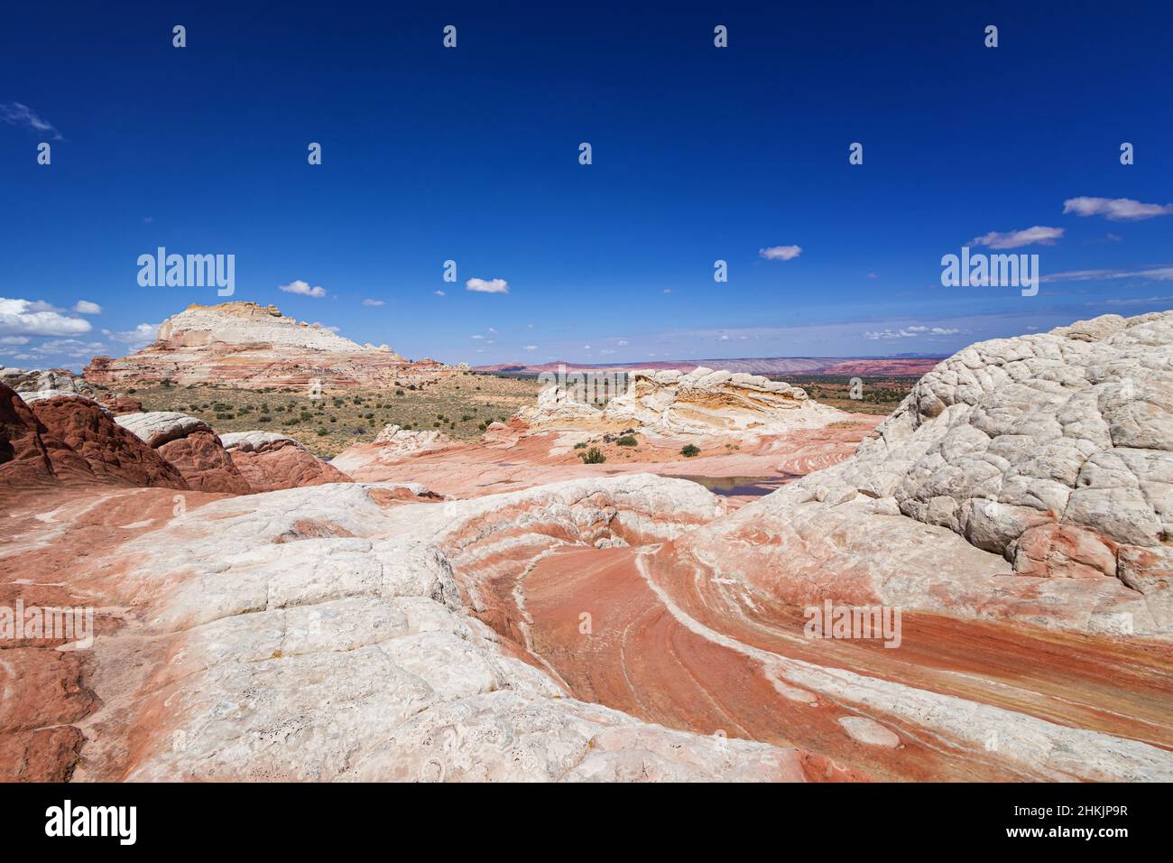 Formazione rocciosa a White Pocket, Utah Foto Stock