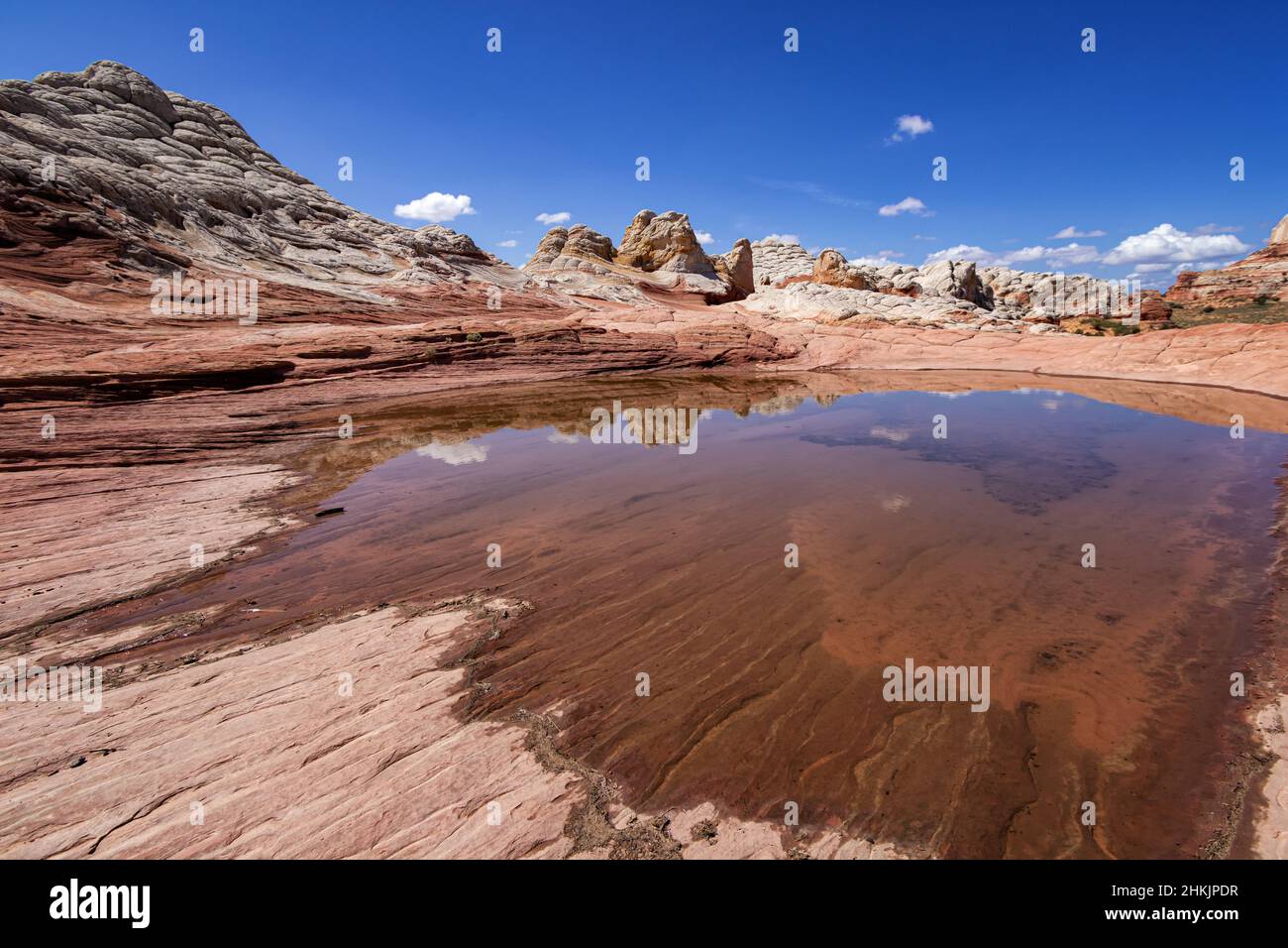 Formazione rocciosa a White Pocket, Utah Foto Stock