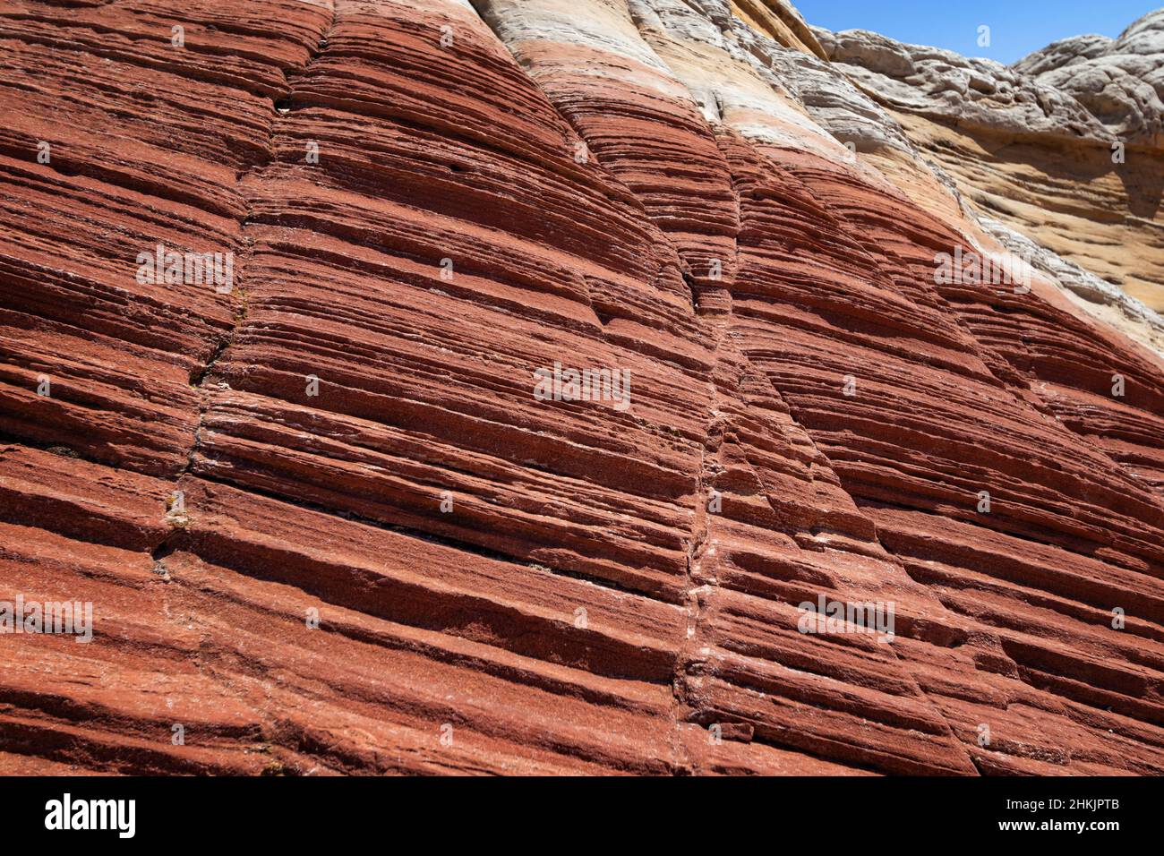 Formazione rocciosa a White Pocket, Utah Foto Stock