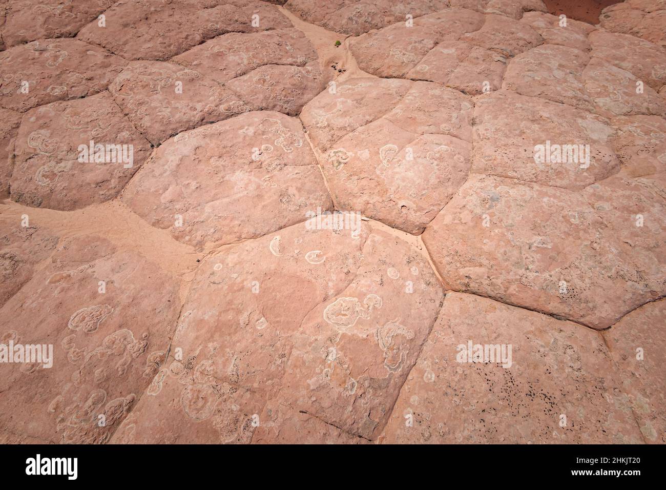 Formazione rocciosa a White Pocket, Utah Foto Stock