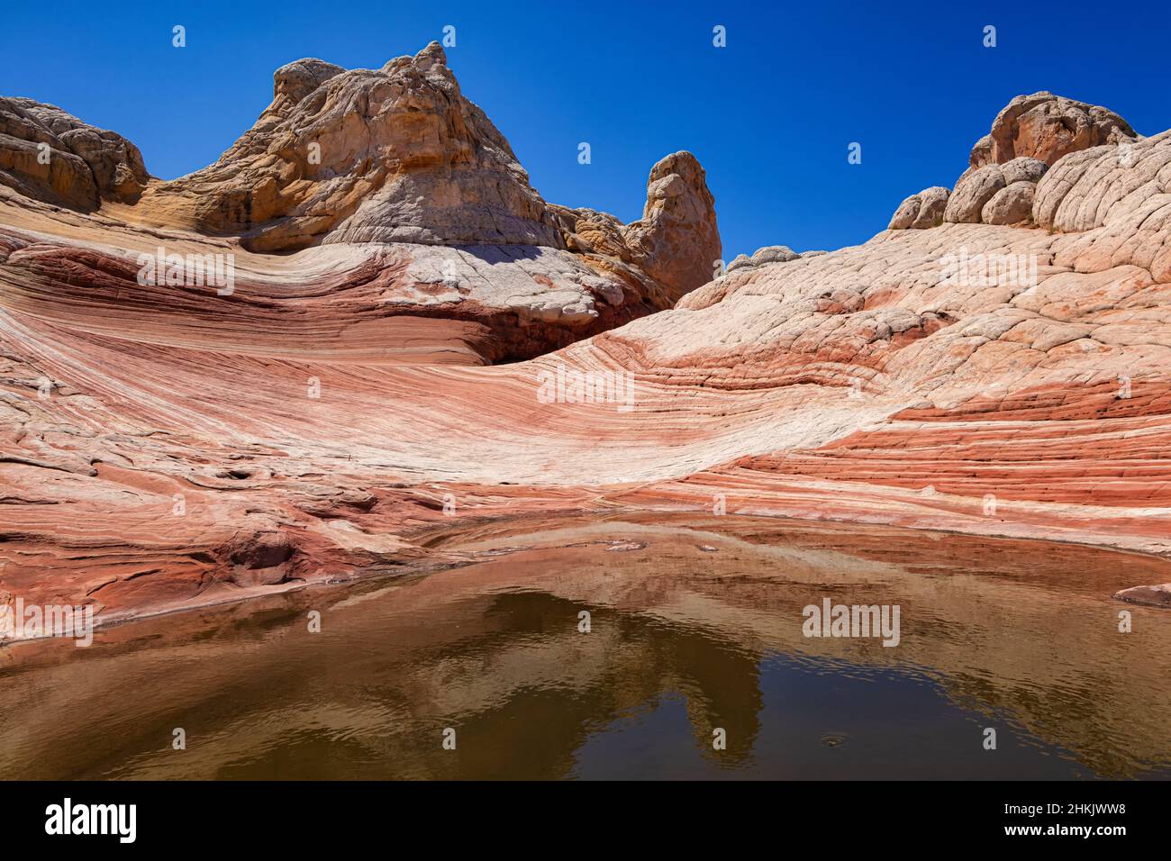 Formazione rocciosa a White Pocket, Utah Foto Stock