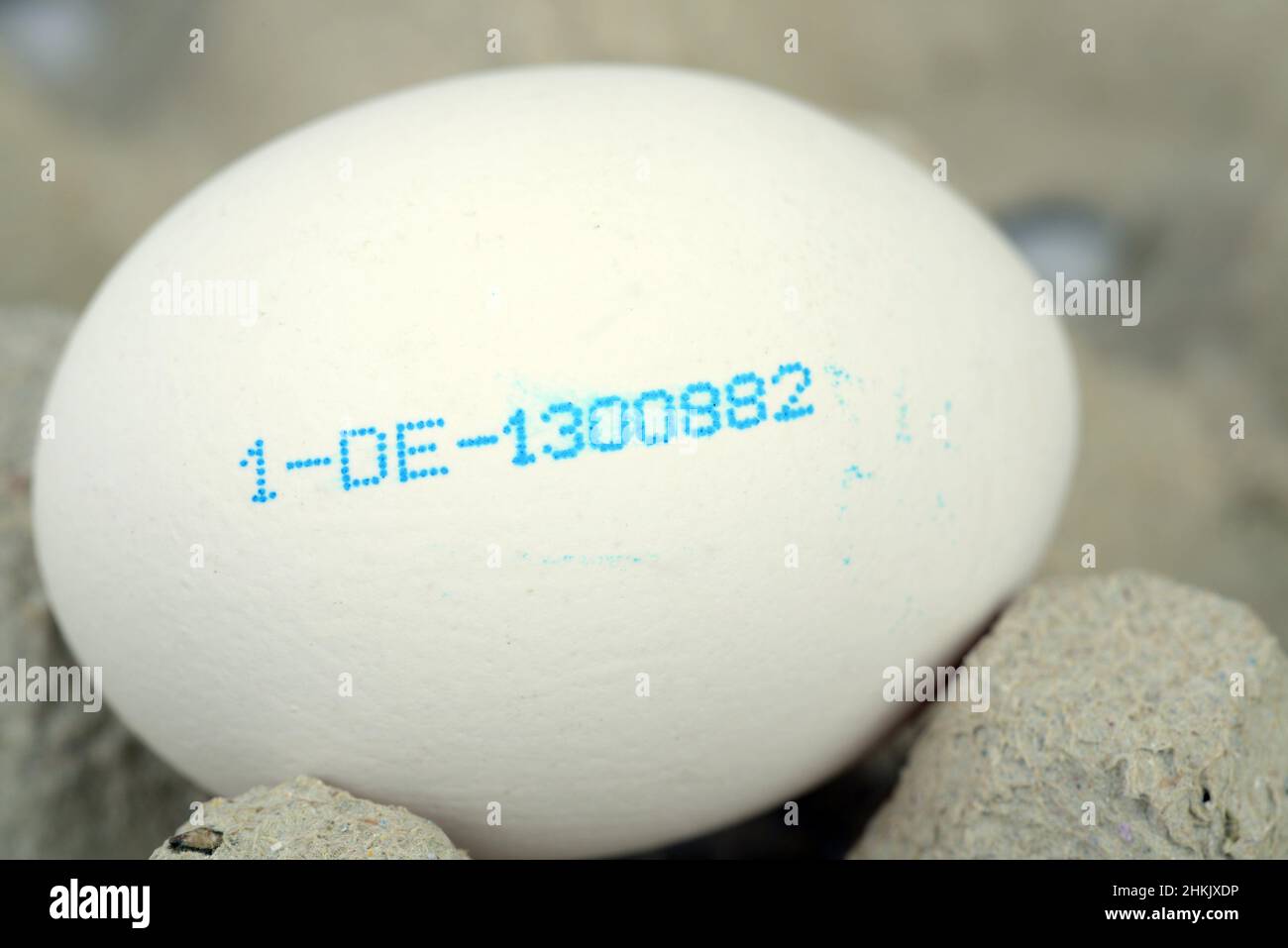 Uovo di gallina bianco con codice produttore impresso, gamma libera, Germania Foto Stock