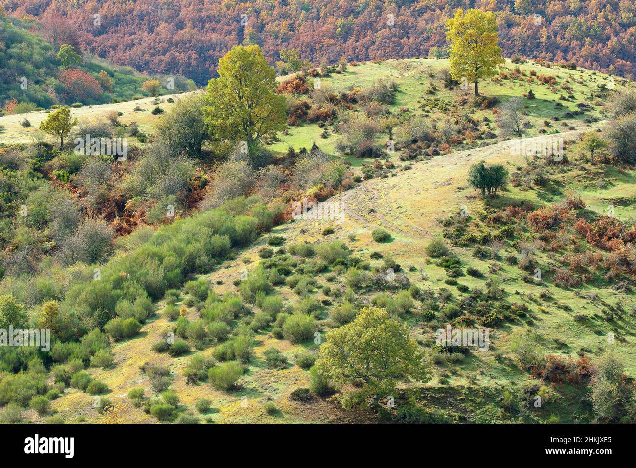 Paesaggio di montagna in Picos de Europa, Spagna, Paesi Baschi, Cantabria, Parco Nazionale Picos De Europa Foto Stock