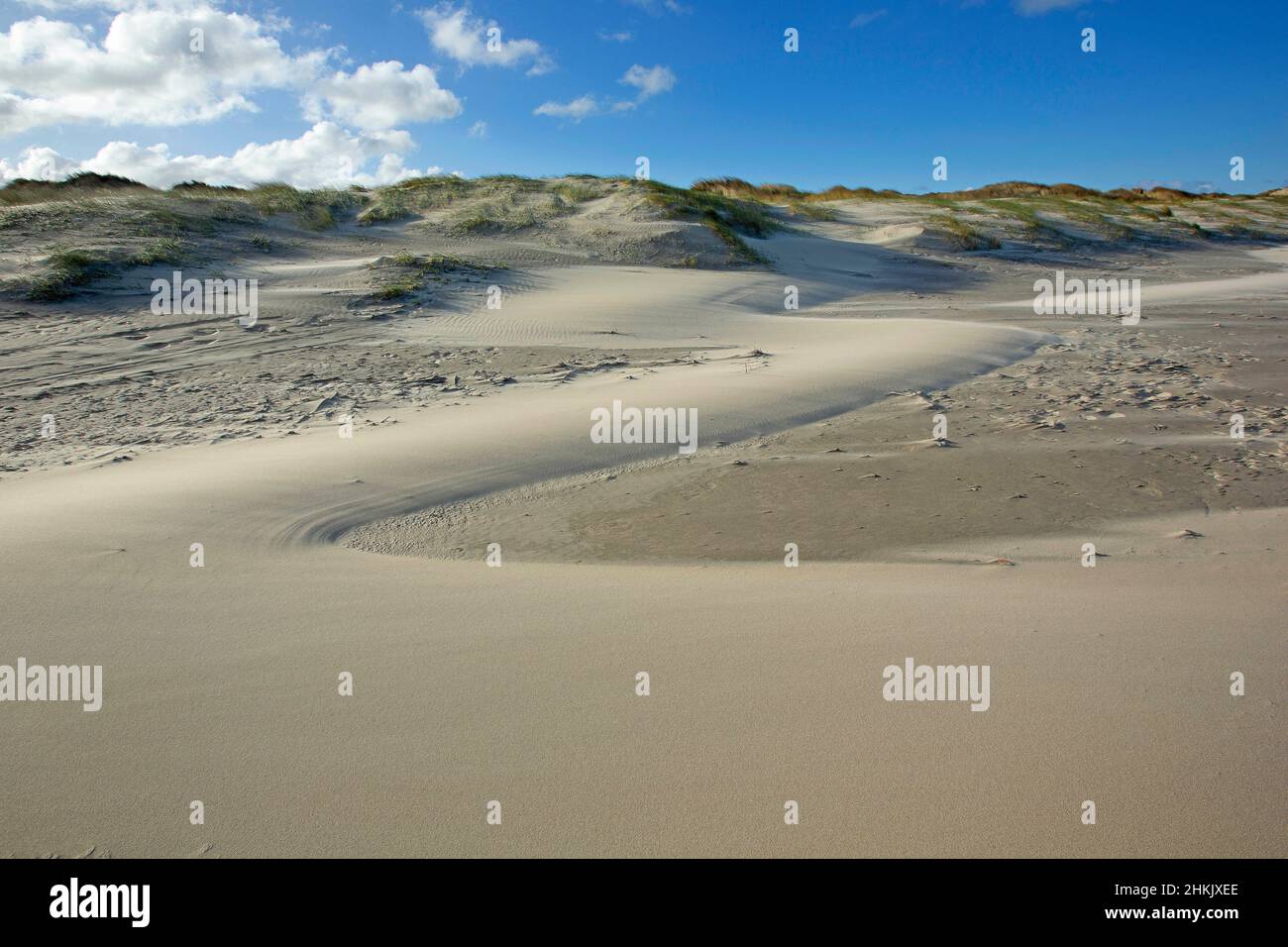 Sint-Laureinsduinen a Middelkerke, Belgio, Fiandre Occidentali, Middelkerke, Sint-Laureinsduinen Foto Stock