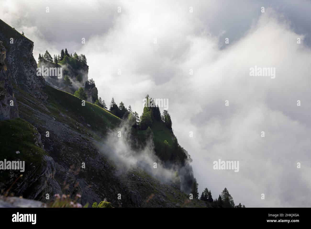 Gemmipass, foresta di abete rosso con le nuvole che si avvicinano, Svizzera, Vallese, Leukerbad Foto Stock