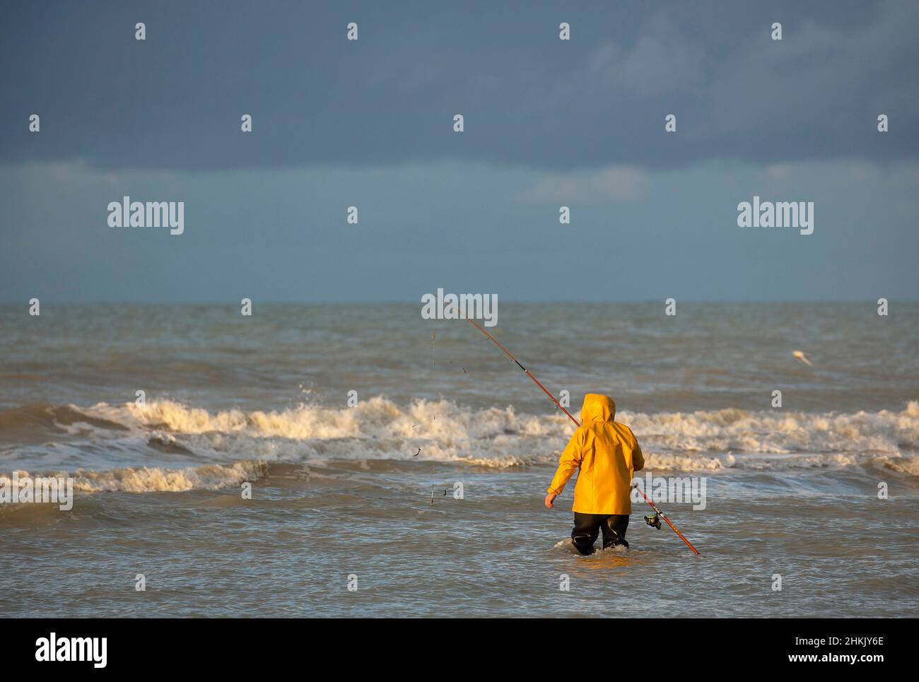 Pescatore nel Mare del Nord, Belgio, Fiandre Occidentali, Nieuwpoort Foto Stock
