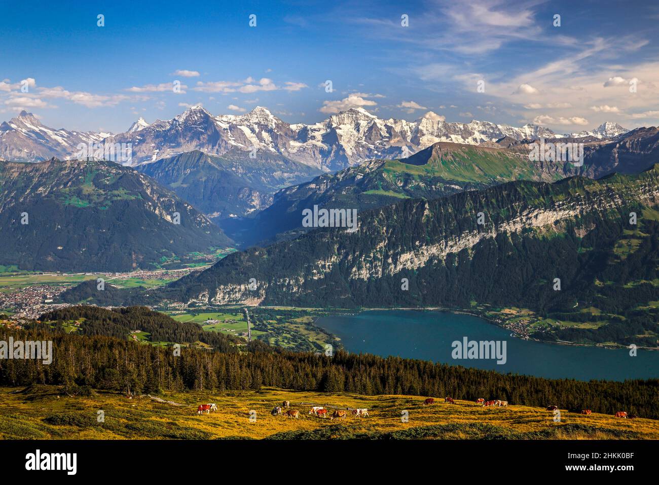 Lago di Thun e le Alpi Bernesi con Eiger, Moench e Jungfrau, vista da Niederhorn, Svizzera, Oberland Bernese Foto Stock