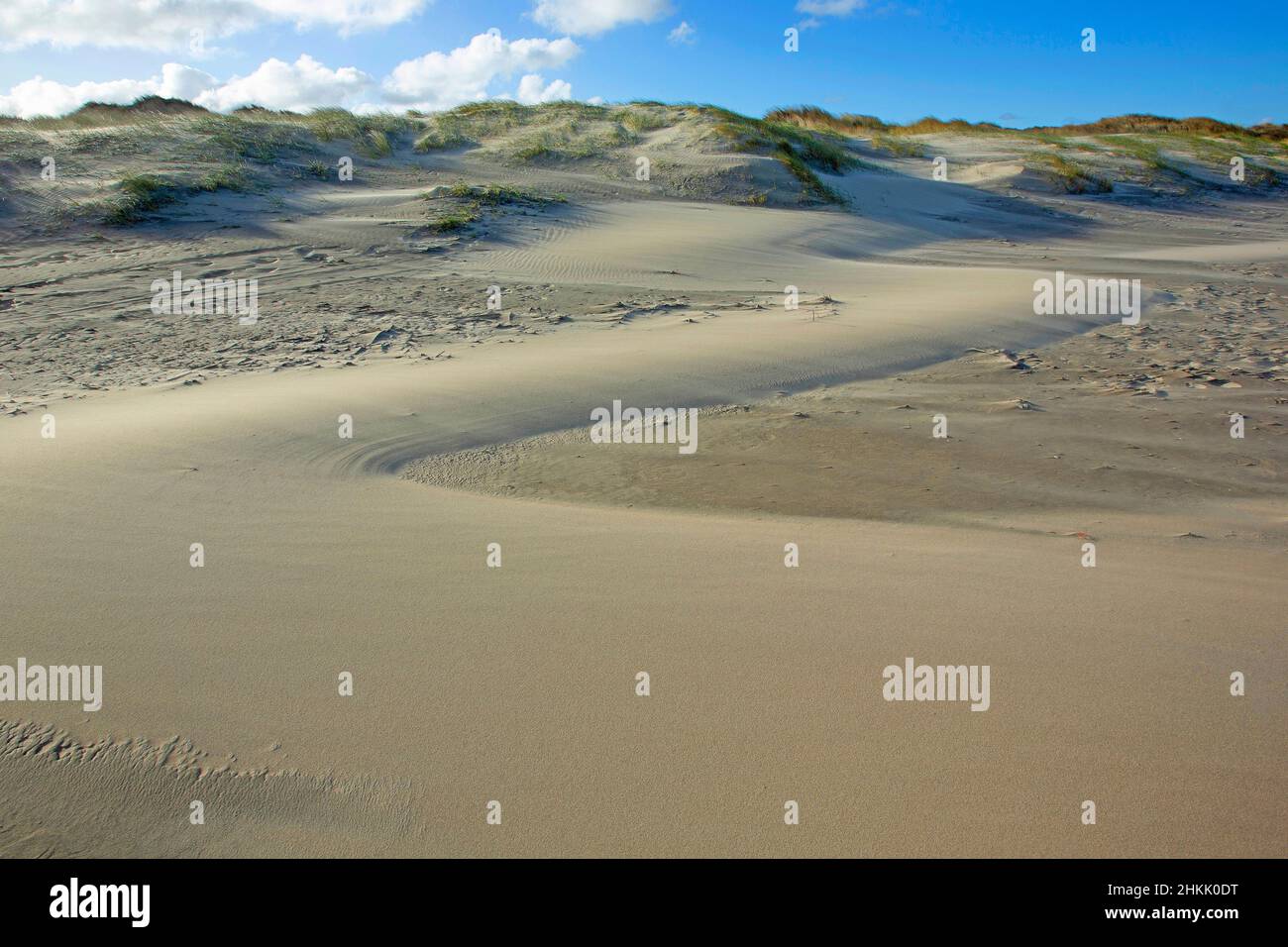 Sint-Laureinsduinen a Middelkerke, Belgio, Fiandre Occidentali, Middelkerke, Sint-Laureinsduinen Foto Stock