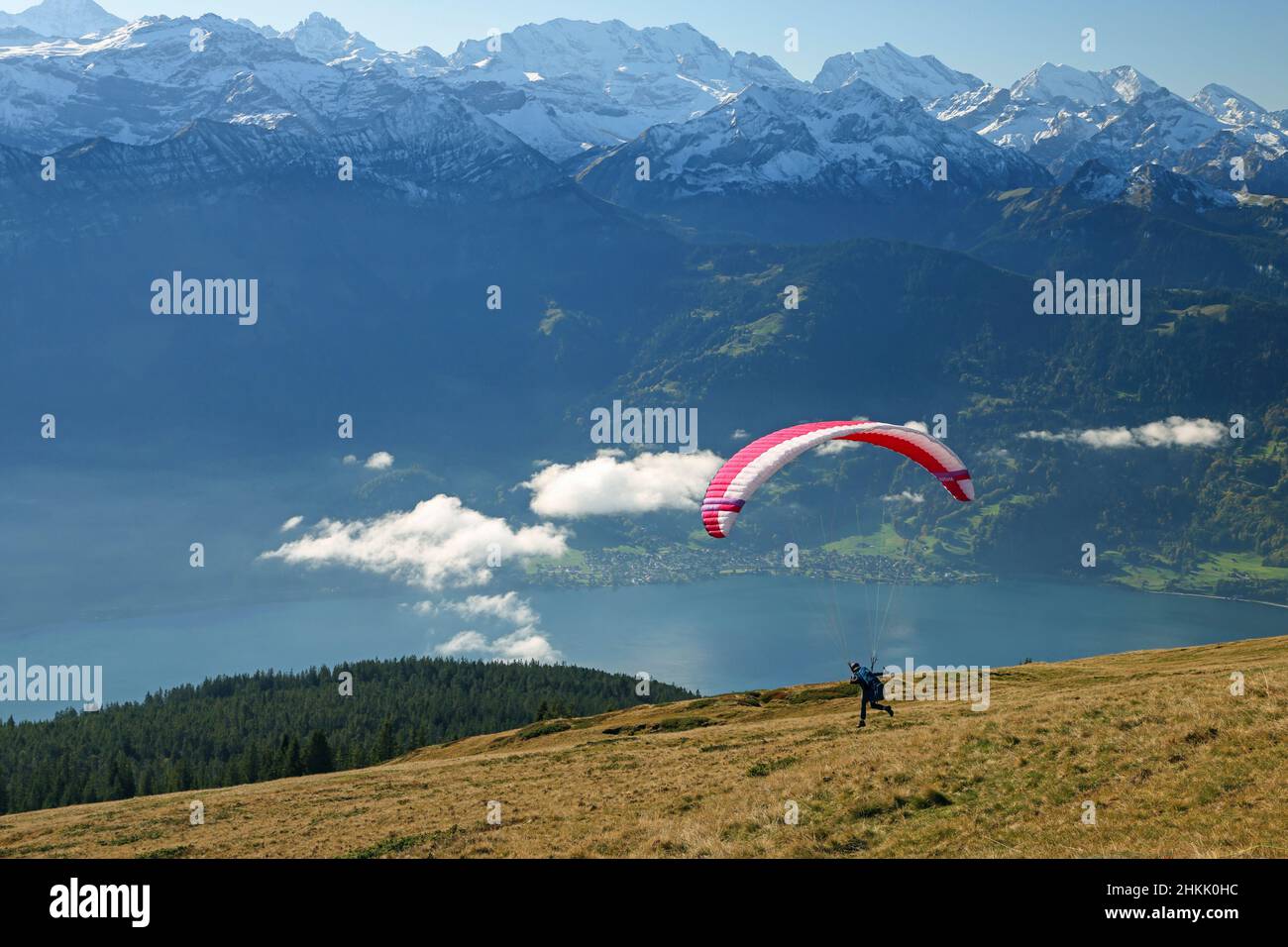 Parapendio, partenza dal Niederhorn, Svizzera, Oberland Bernese, Beatenberg Foto Stock