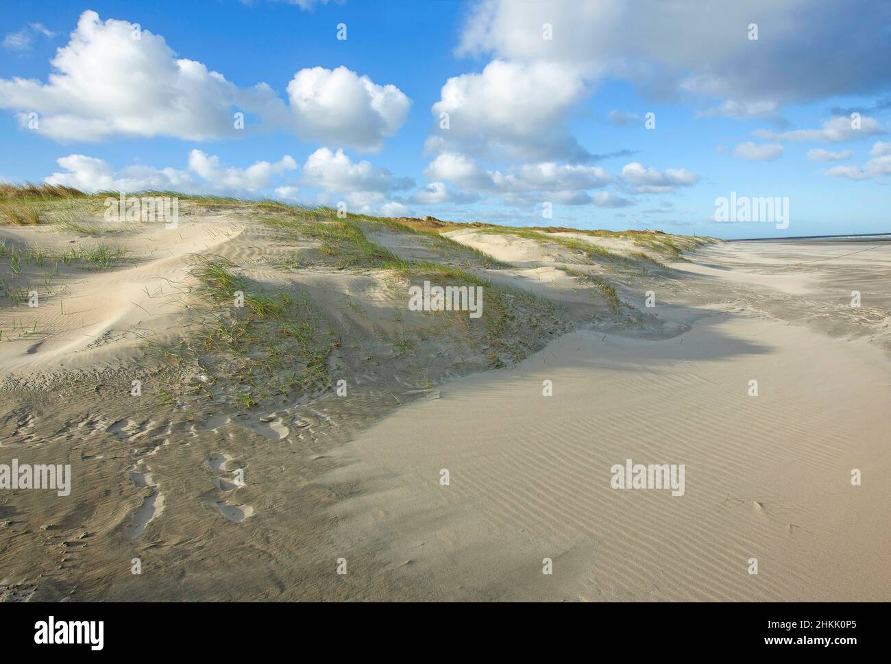 Sint-Laureinsduinen a Middelkerke, Belgio, Fiandre Occidentali, Middelkerke, Sint-Laureinsduinen Foto Stock