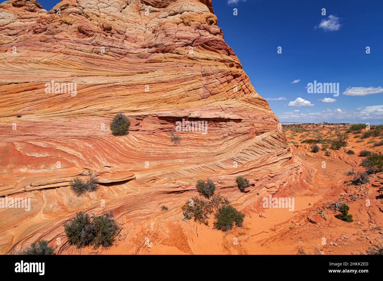 Formazioni rocciose a Coyote Buttes, Utah Foto Stock