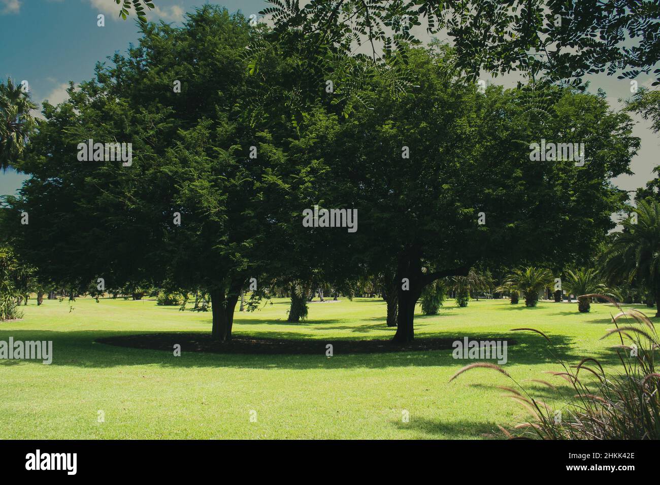 Giardini in Australia, Queensland Foto Stock