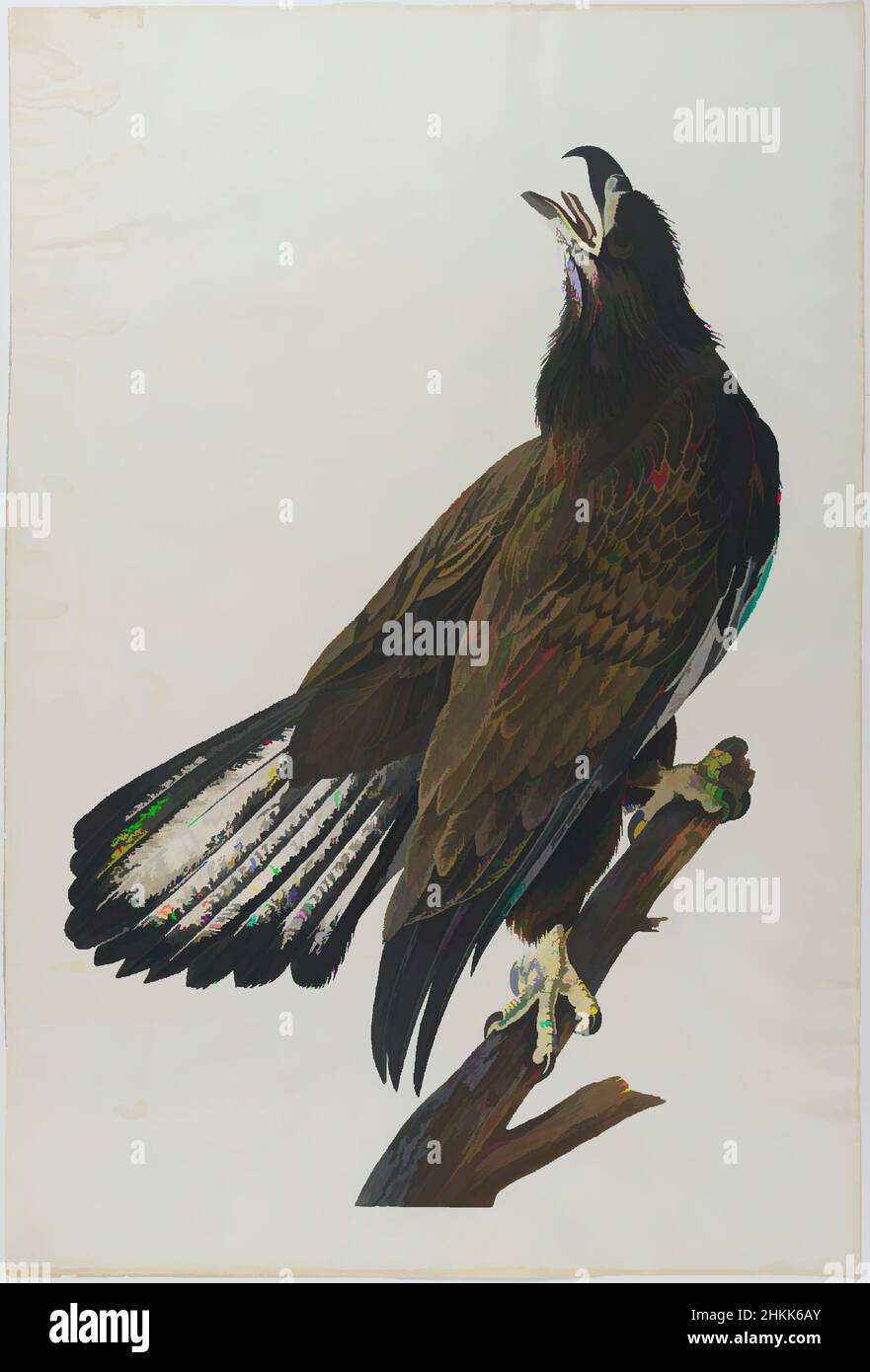 Arte ispirata al bianco - aquila a testa, Aquatint, circa: 27 x 40 pollici, 68,6 x 101,6 cm, animale, Audubon, aquila Bald, uccello, aquila, fauna, simbolo nazionale, natura, studio della natura, Ornitologia, taloni, opere classiche modernizzate da Artotop con un tuffo di modernità. Forme, colore e valore, impatto visivo accattivante sulle emozioni artistiche attraverso la libertà delle opere d'arte in modo contemporaneo. Un messaggio senza tempo che persegue una nuova direzione selvaggiamente creativa. Artisti che si rivolgono al supporto digitale e creano l'NFT Artotop Foto Stock Arte ispirata al bianco - aquila a testa, Aquatint, circa: 27 x 40 pollici, 68,6 x 101,6 cm, animale, Audubon, aquila Bald, uccello, aquila, fauna, simbolo nazionale, natura, studio della natura, Ornitologia, taloni, opere classiche modernizzate da Artotop con un tuffo di modernità. Forme, colore e valore, impatto visivo accattivante sulle emozioni artistiche attraverso la libertà delle opere d'arte in modo contemporaneo. Un messaggio senza tempo che persegue una nuova direzione selvaggiamente creativa. Artisti che si rivolgono al supporto digitale e creano l'NFT Artotop Foto Stock