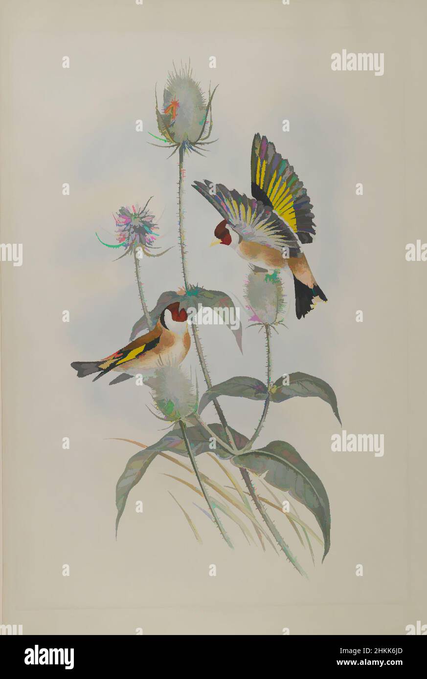 Arte ispirata da Carduelis elegans - Goldfinch, John Gould, British, 1804-1881, litografia su carta di vove, foglio: 21 1/4 x 14 1/2 in., 54 x 36,8 cm, uccello, Uccelli, Carduelis elegans, piume, Volo, Goldfinch, Habitat, hovering, compagni, Natura, studio della natura, ornitologia, ornitologia, opere classiche modernizzate da Artotop con un tuffo di modernità. Forme, colore e valore, impatto visivo accattivante sulle emozioni artistiche attraverso la libertà delle opere d'arte in modo contemporaneo. Un messaggio senza tempo che persegue una nuova direzione selvaggiamente creativa. Artisti che si rivolgono al supporto digitale e creano l'NFT Artotop Foto Stock Arte ispirata da Carduelis elegans - Goldfinch, John Gould, British, 1804-1881, litografia su carta di vove, foglio: 21 1/4 x 14 1/2 in., 54 x 36,8 cm, uccello, Uccelli, Carduelis elegans, piume, Volo, Goldfinch, Habitat, hovering, compagni, Natura, studio della natura, ornitologia, ornitologia, opere classiche modernizzate da Artotop con un tuffo di modernità. Forme, colore e valore, impatto visivo accattivante sulle emozioni artistiche attraverso la libertà delle opere d'arte in modo contemporaneo. Un messaggio senza tempo che persegue una nuova direzione selvaggiamente creativa. Artisti che si rivolgono al supporto digitale e creano l'NFT Artotop Foto Stock