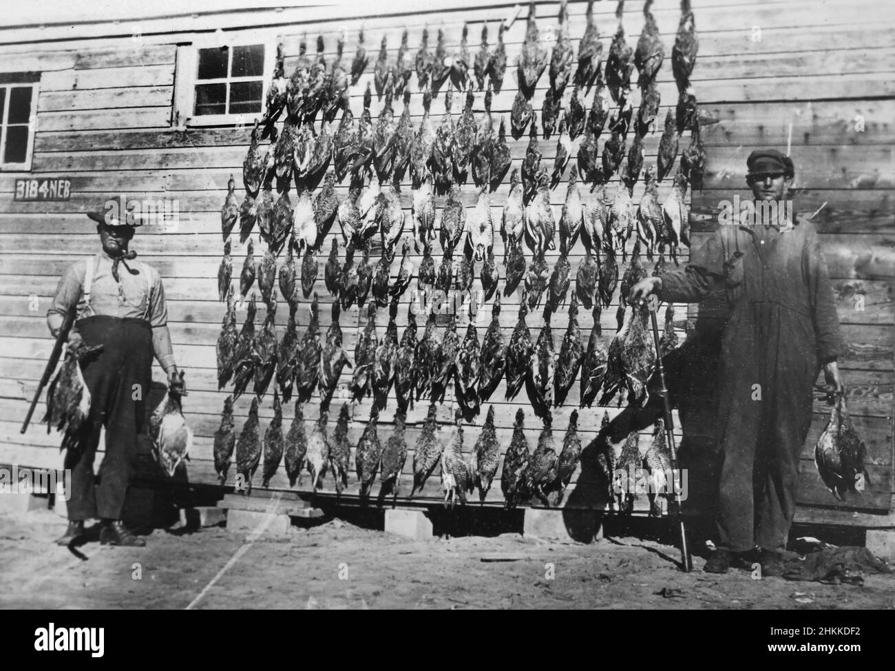 Una caccia all'anatra di successo, ca. 1935. Foto Stock