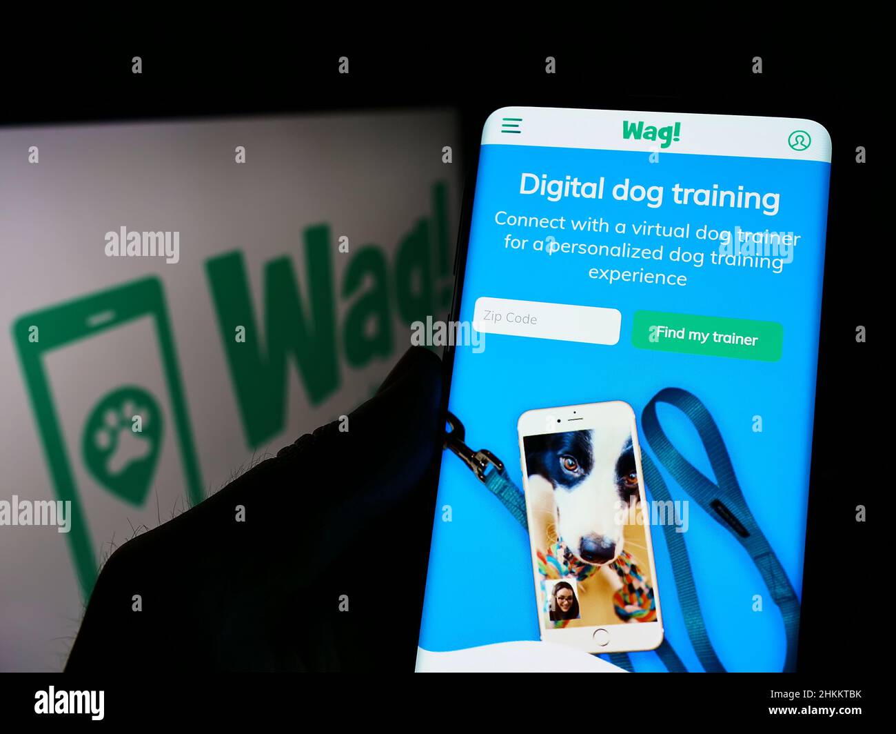 Persona che tiene il cellulare con il Web page della società americana di cura degli animali domestici Wag Labs Inc. Sullo schermo di fronte al logo aziendale. Concentrarsi sul centro del display del telefono. Foto Stock