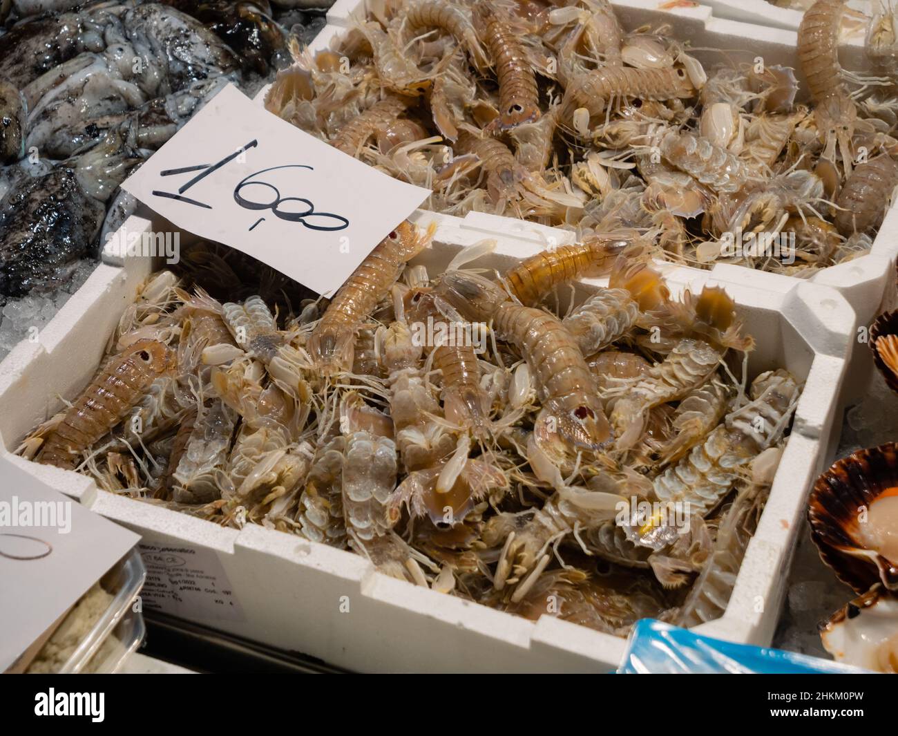 Venezia, Italia - Gennaio 5 2022: Gamberi Canocchie o Squilla Mantis in vendita al mercato del Pesce di Rialto o al mercato del Pesce al minuto a Rialto a Venezia. Foto Stock