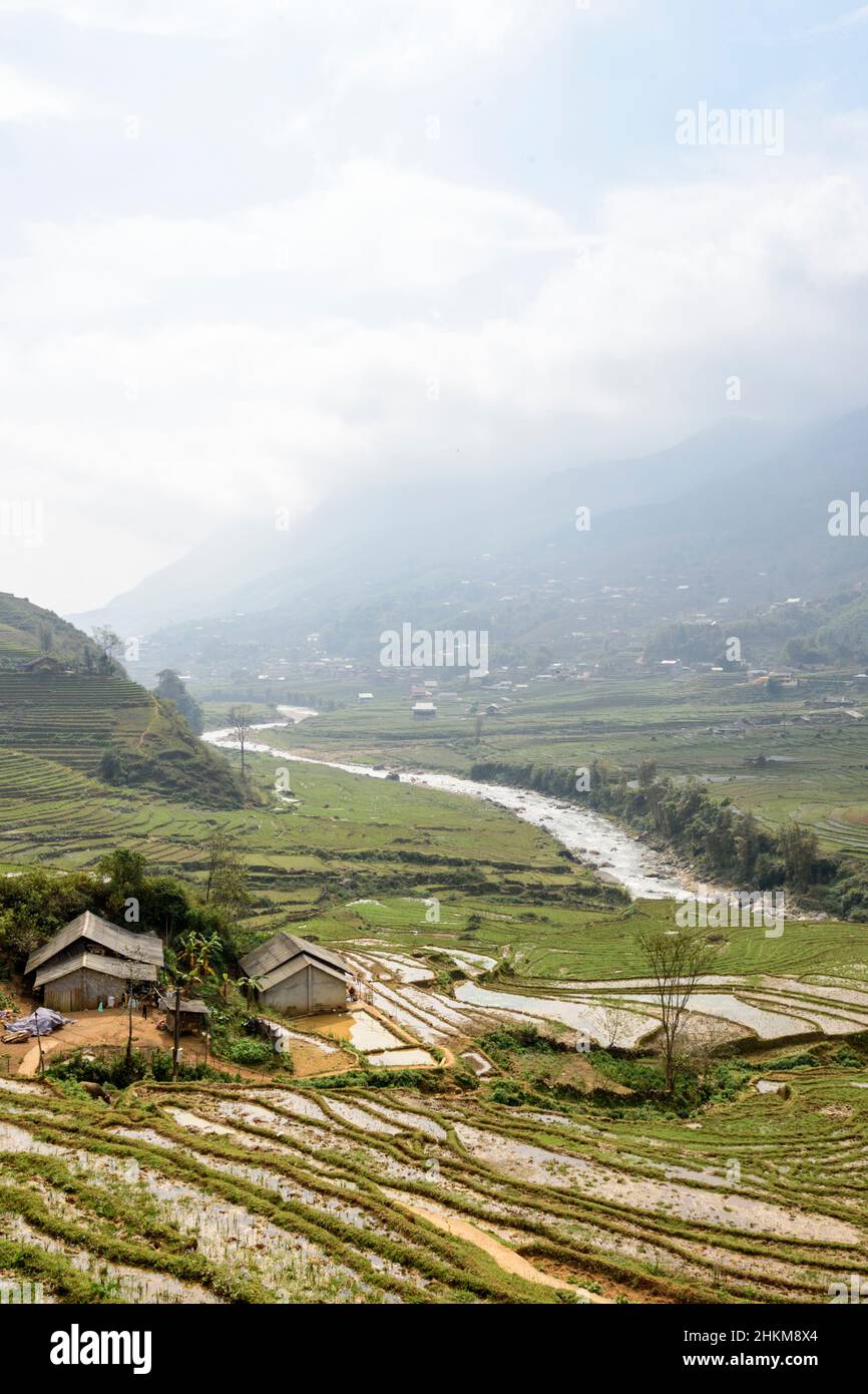 Terrazze di risaie ed edifici agricoli nella Valle di Muong Hoa (Thung Lung Muong Hoa), Sapa (SA Pa), Provincia di Lao Cai, Vietnam Foto Stock