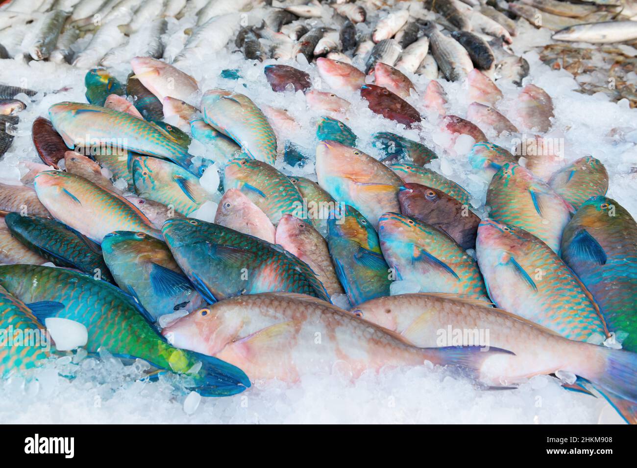 Grande varietà di pesci in un mercato marino locale Foto Stock