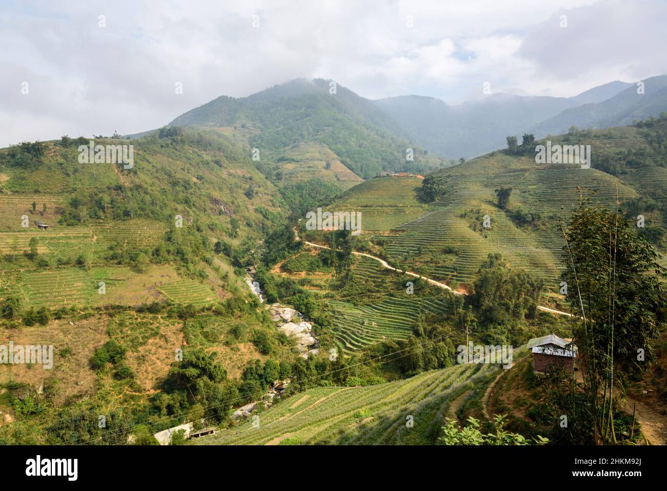 Risaie risaie terrazze e colline ondulate vicino a Sapa (SA Pa), Provincia di Lao Cai, Vietnam, Sud-Est asiatico Foto Stock