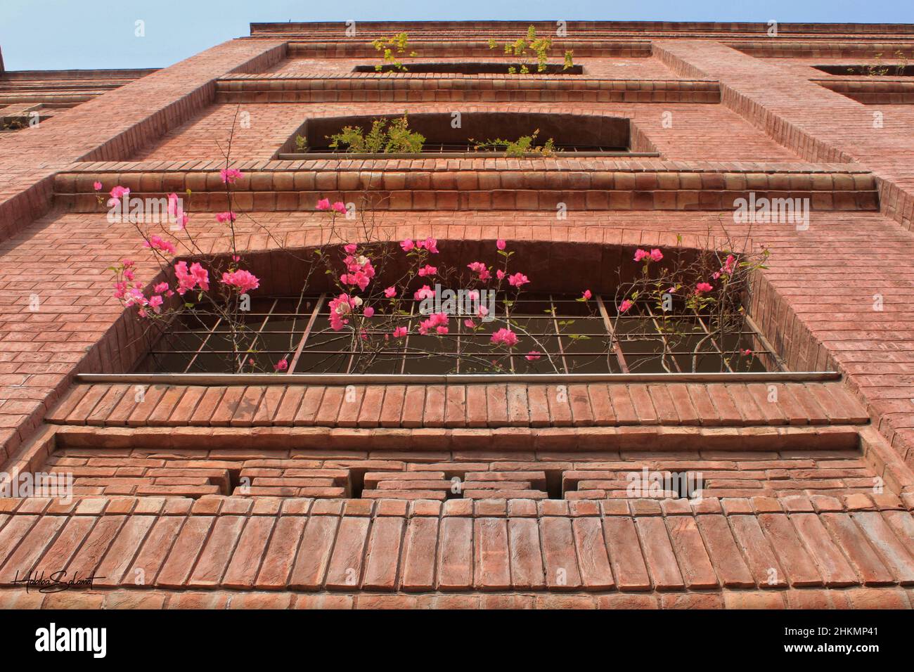 Facciate architettoniche Foto Stock