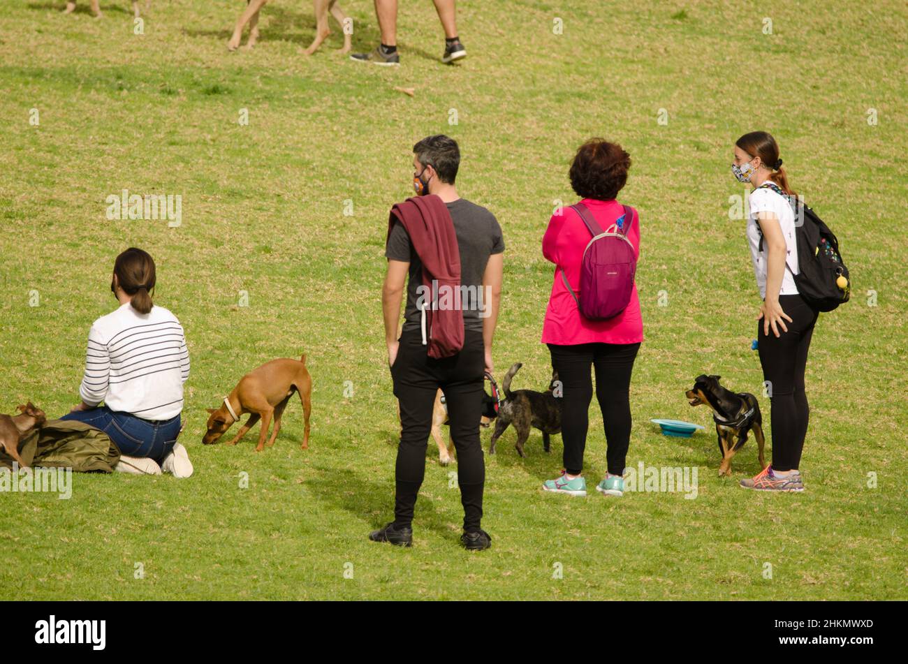Las Palmas de Gran Canaria, 14 marzo 2021: Persone con i loro cani nel parco. La Ballena. Gran Canaria. Isole Canarie. Spagna. Foto Stock