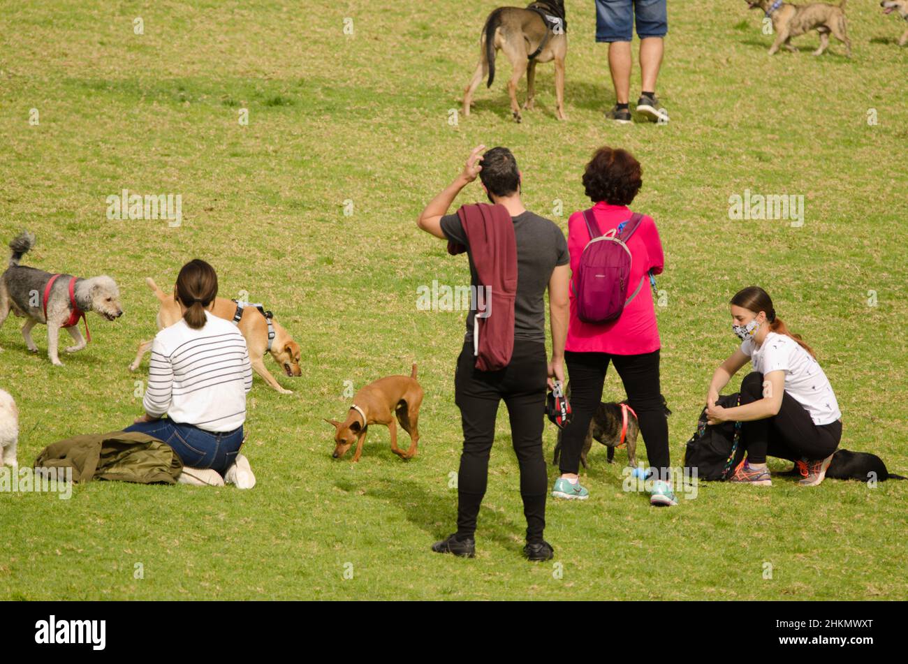 Las Palmas de Gran Canaria, 14 marzo 2021: Persone con i loro cani nel parco. La Ballena. Gran Canaria. Isole Canarie. Spagna. Foto Stock