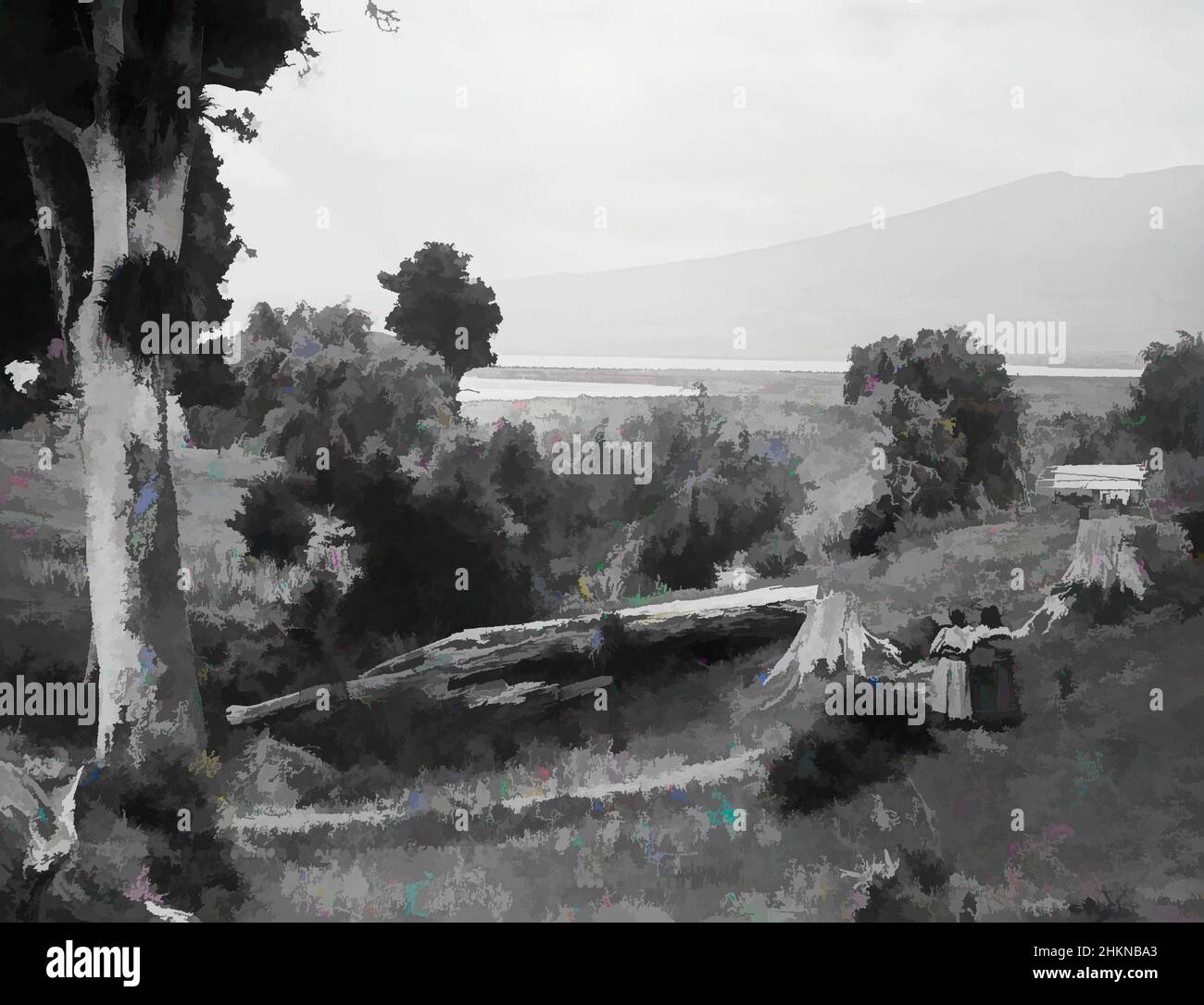 Arte ispirata da Ngongo, Roto Aira (sic), King Country, studio Burton Brothers, studio fotografico, Nuova Zelanda, fotografia in bianco e nero, opere classiche modernizzate da Artotop con un tuffo di modernità. Forme, colore e valore, impatto visivo accattivante sulle emozioni artistiche attraverso la libertà delle opere d'arte in modo contemporaneo. Un messaggio senza tempo che persegue una nuova direzione selvaggiamente creativa. Artisti che si rivolgono al supporto digitale e creano l'NFT Artotop Foto Stock